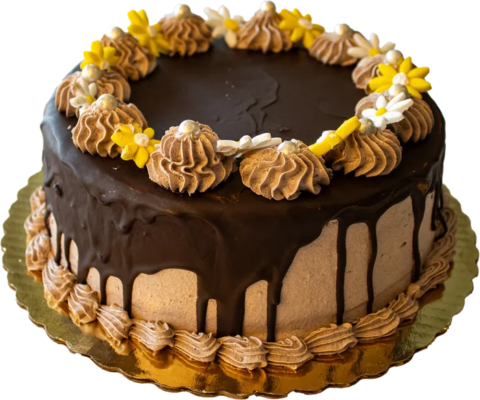 Chocolate drip cake decorated with flowers
