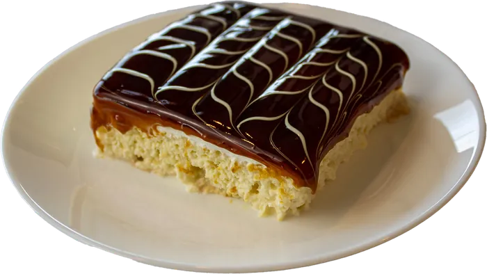 Chocolate glazed dessert slice